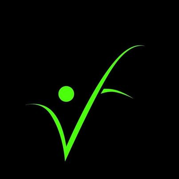 Vigor Fitness logo